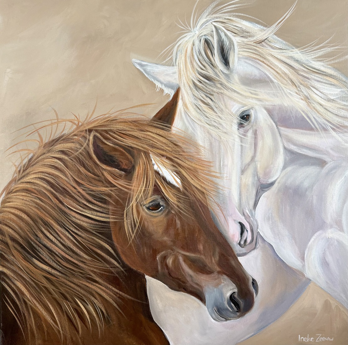 Paarden