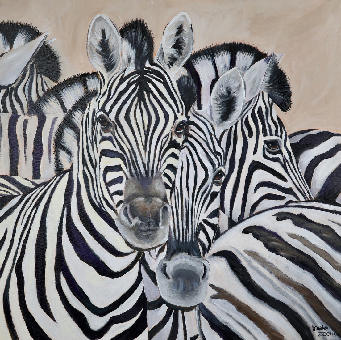 Zebra’s