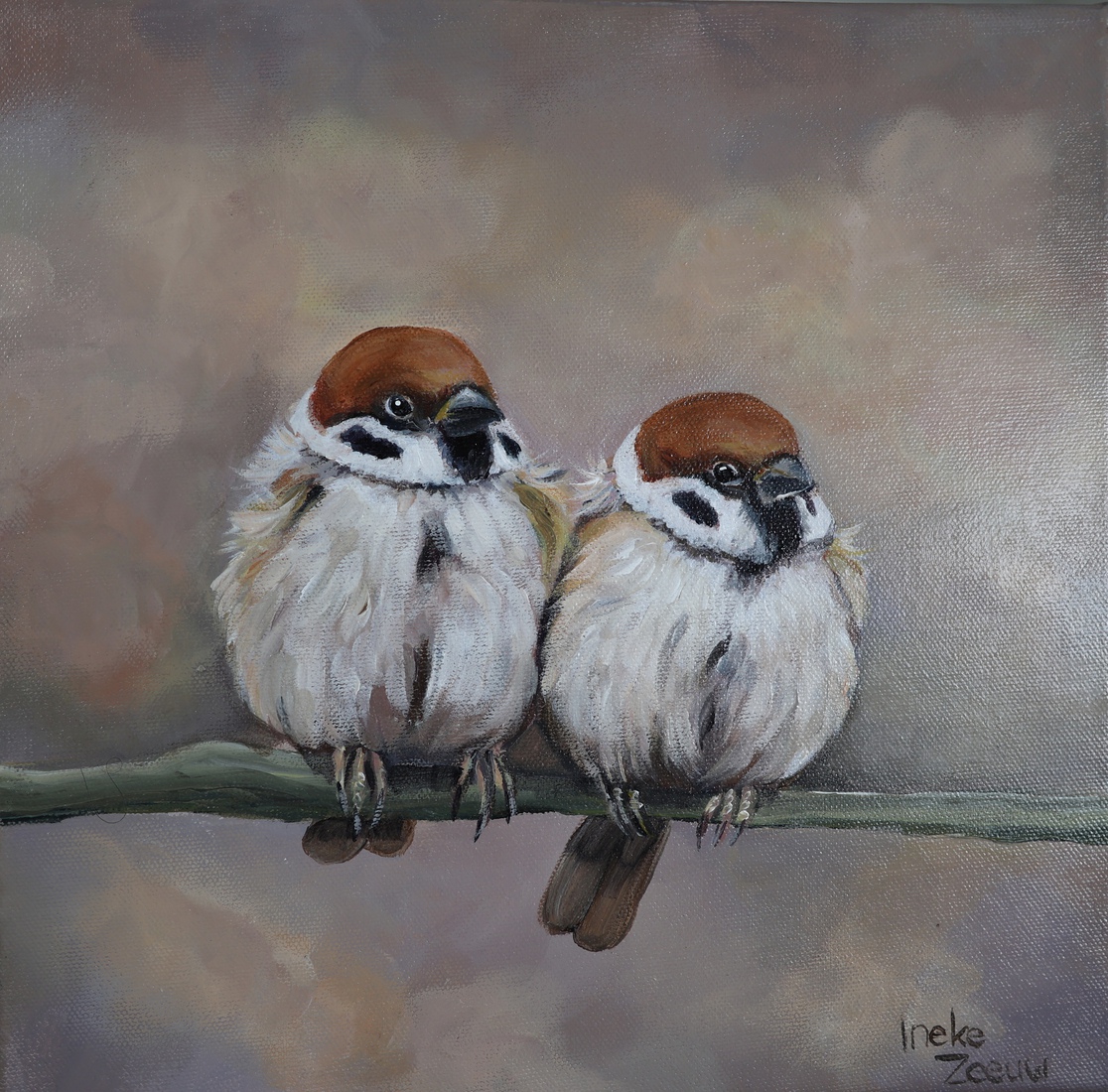 Twee musjes