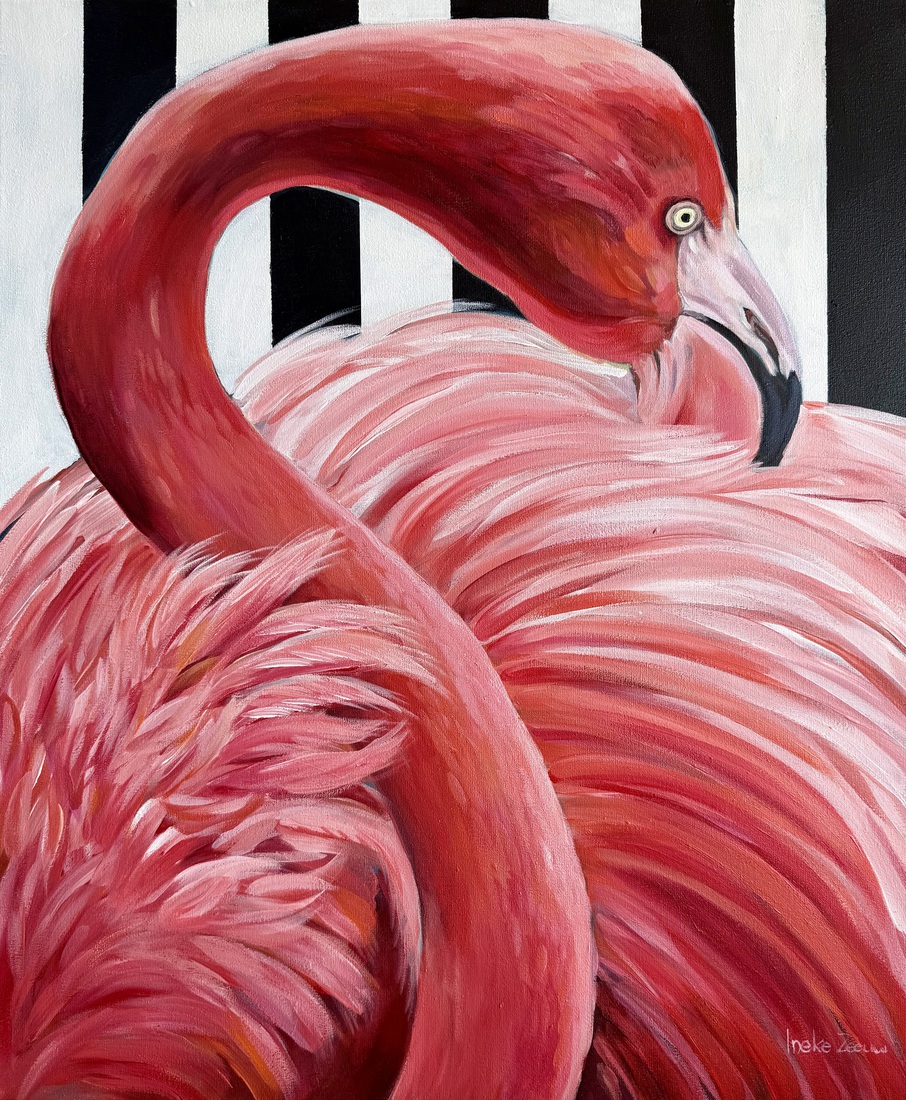 Flamingo