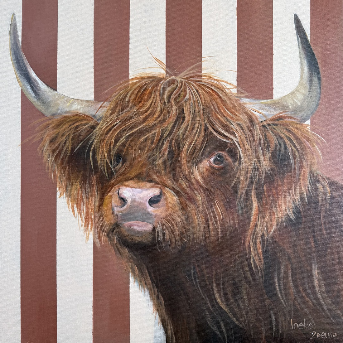 Hooglander met streepjes