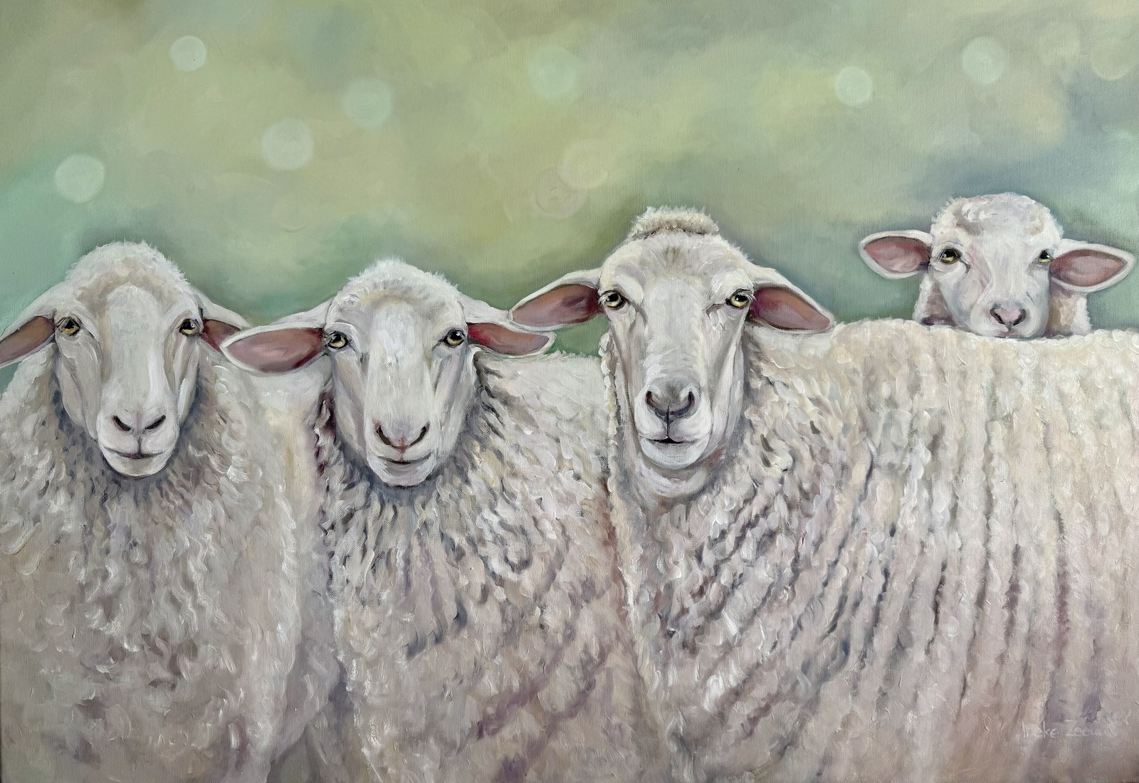 Schapen