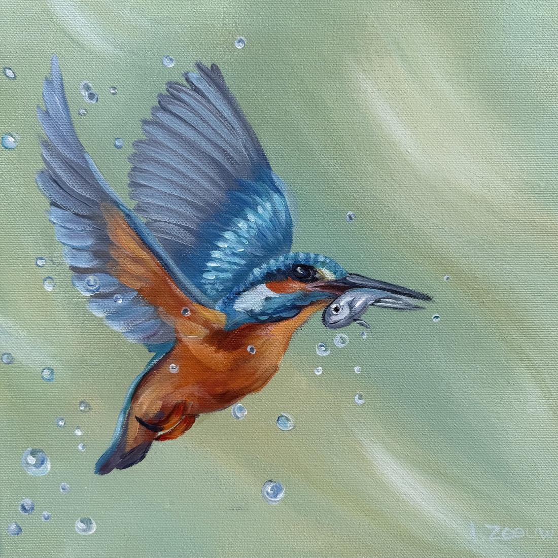 Ijsvogel met visje