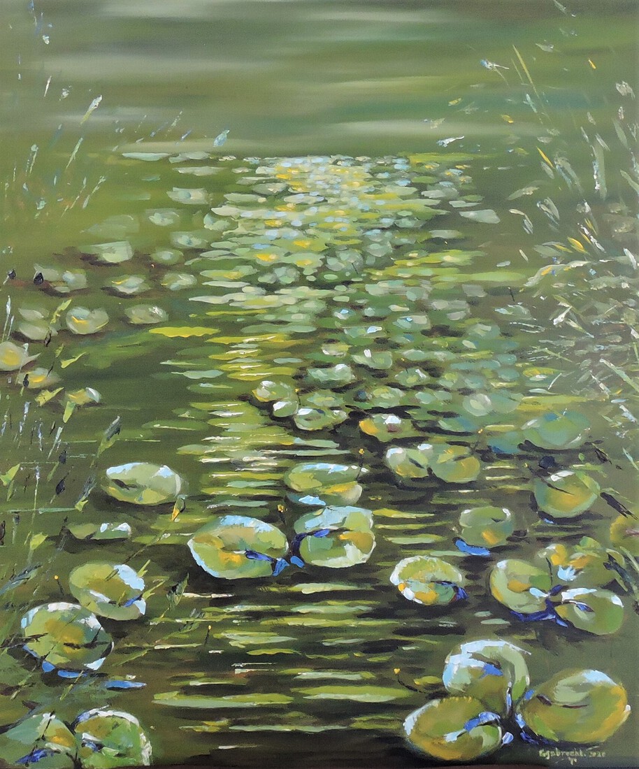 waterlelies ochtend badend in groene nevel