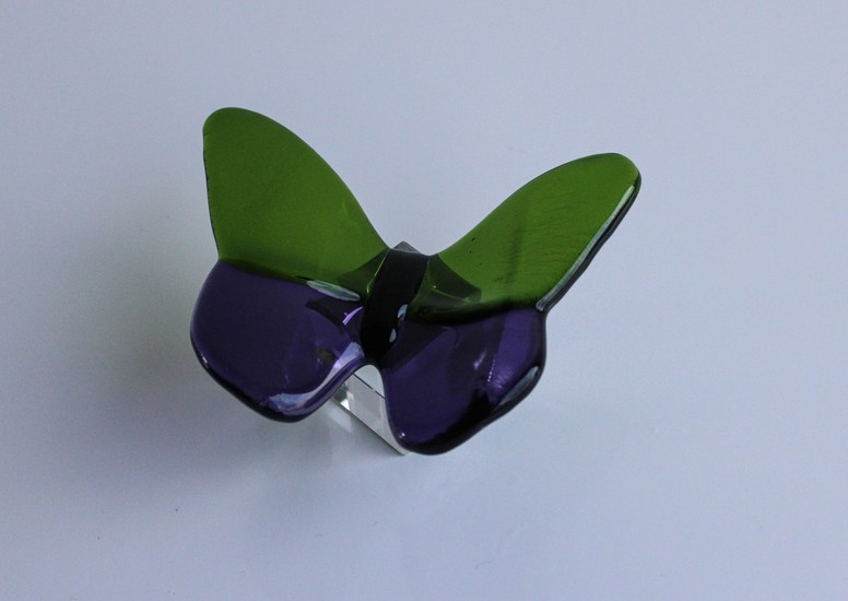 Kleine vlinder groen/paars