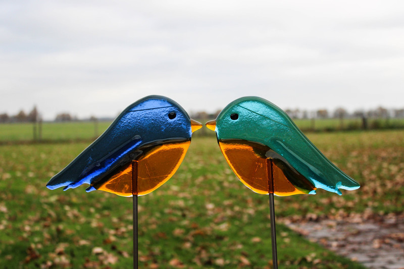 Twee blauwe vogels op pin 2