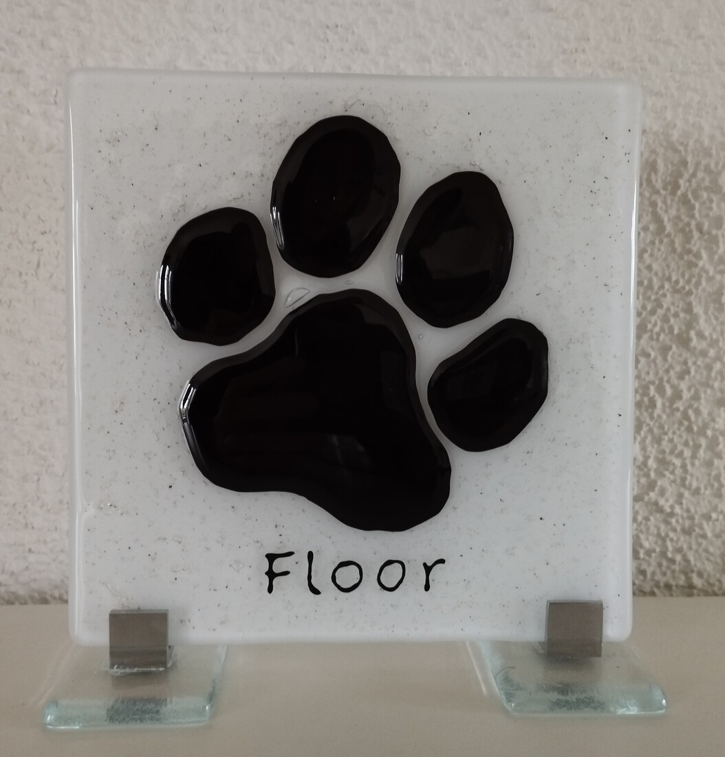 Voetafdruk (zwart/wit)