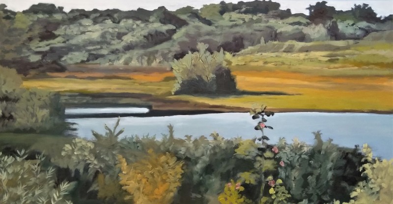 Duinen Hellevoetsluis