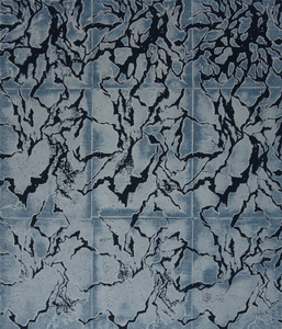 Een serie abstracte werken met als thema opwarming, verdroging en verarmen van de bio diversiteit.