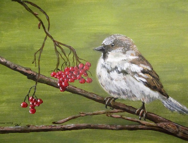 mus op tak met rode bessen