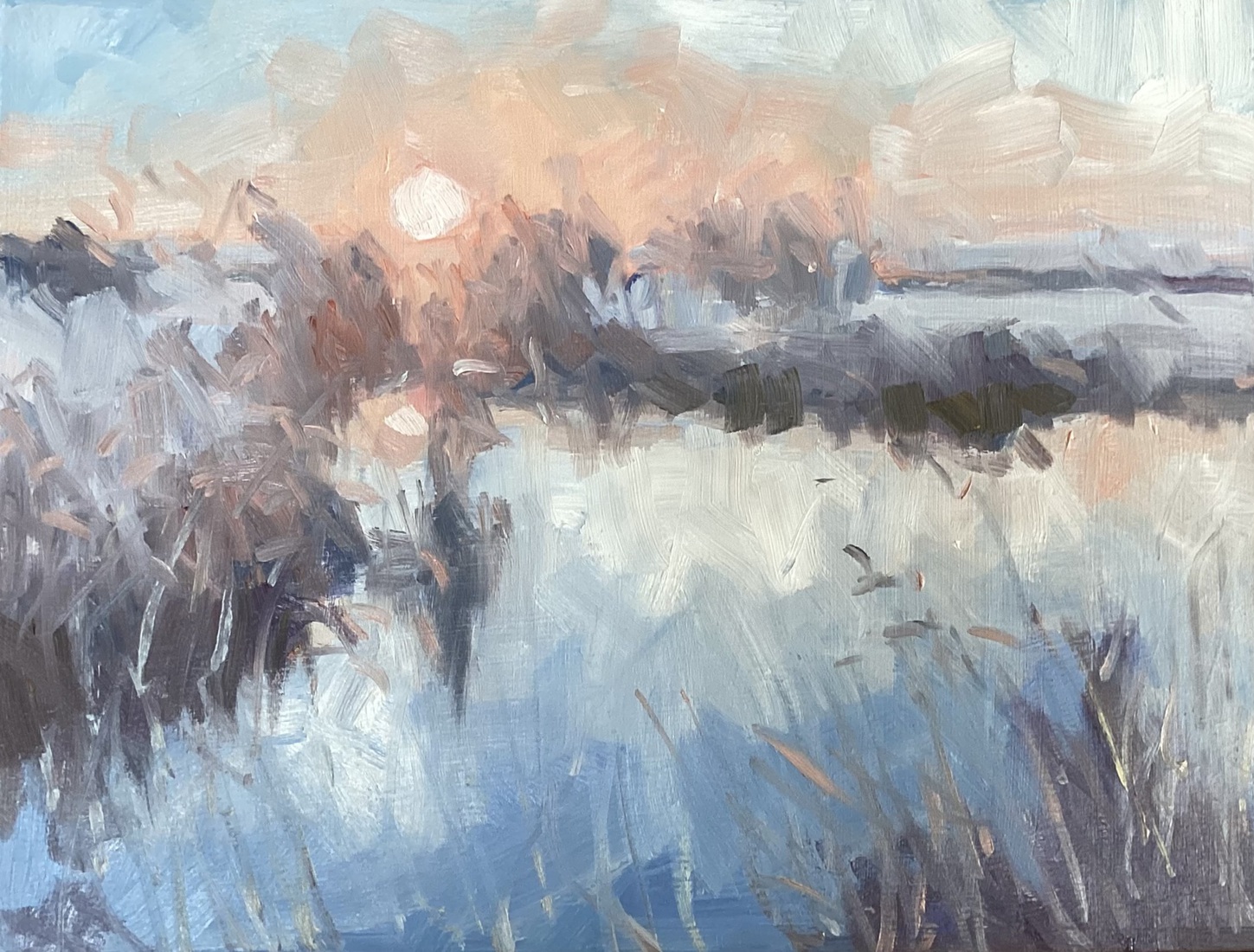Cattenbroekerplas, zonsopkomst (3)