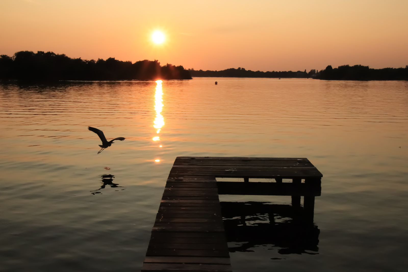 Indian summer at lake Paterswoldsemeer