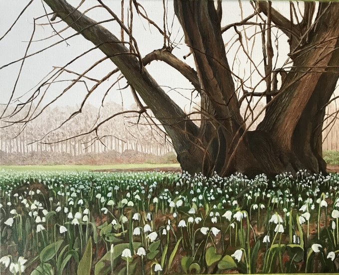 Boom in het voorjaar