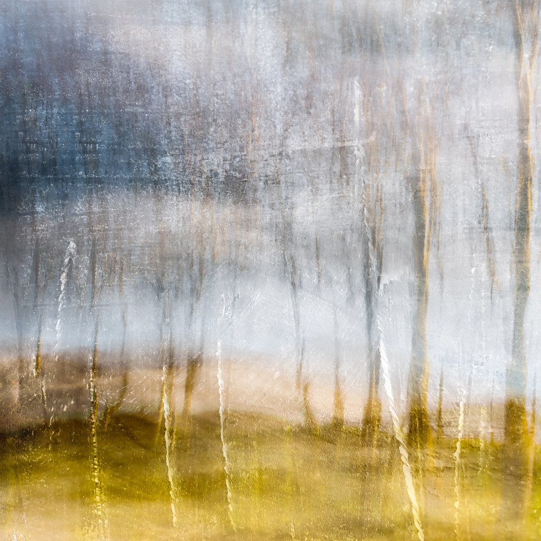 Langevelderslag (Noordwijkerhout)