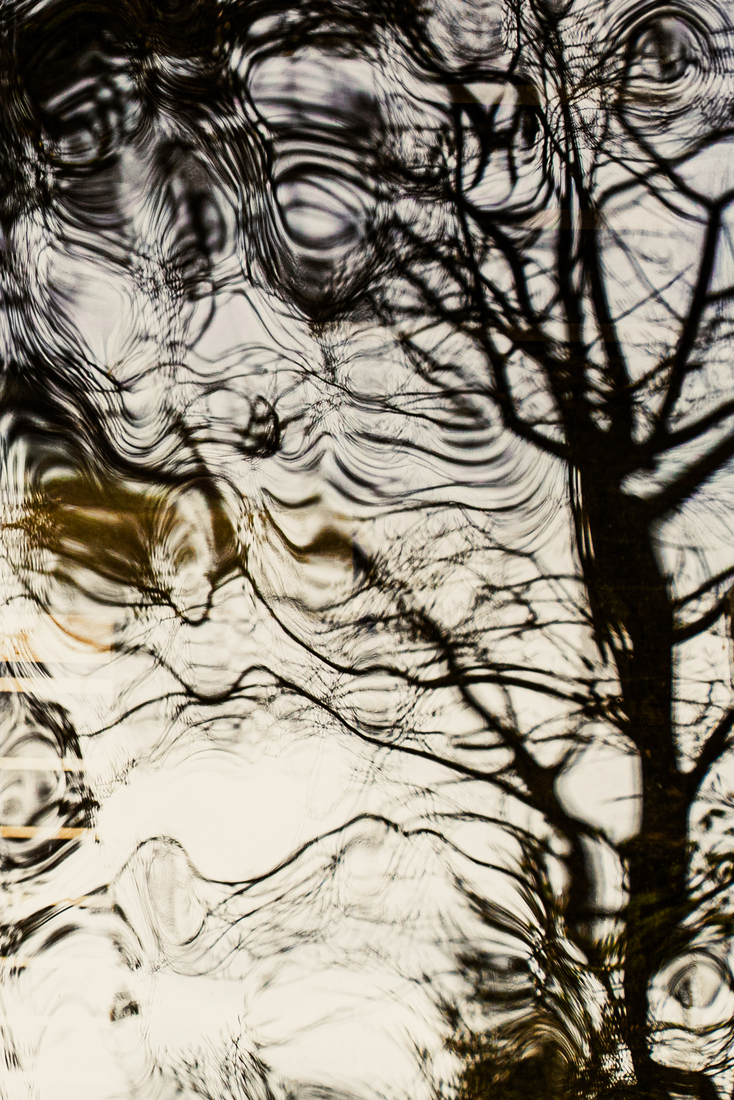 jardin de verre...