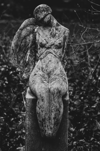 Begraafplaats Soestbergen, Utrecht, heeft zeer oude graven. De fase waarin nabestaanden het graf van hun dierbare bezoeken is voorbij. Ook zij zijn niet meer. Er begint een andere - allerlaatste - fase: een vervallen graf. 