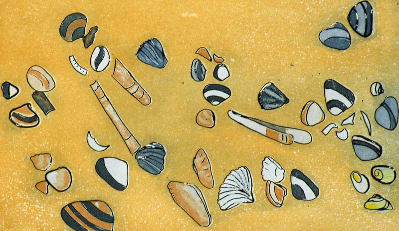 Verzameling schelpen