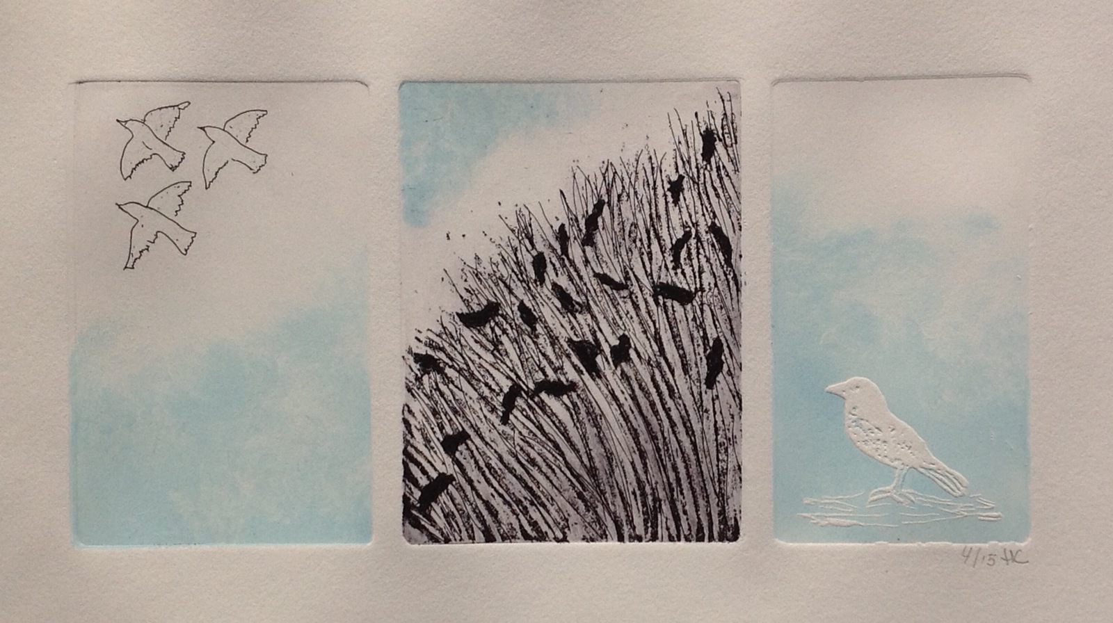  spreeuwen in de achtertuin