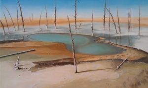 Verstilde landschappen