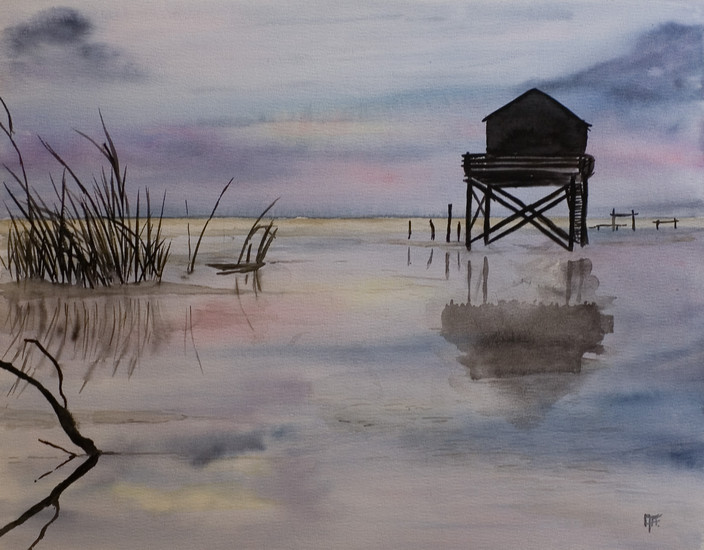 vogeltelhuisje op Engelmansplaat