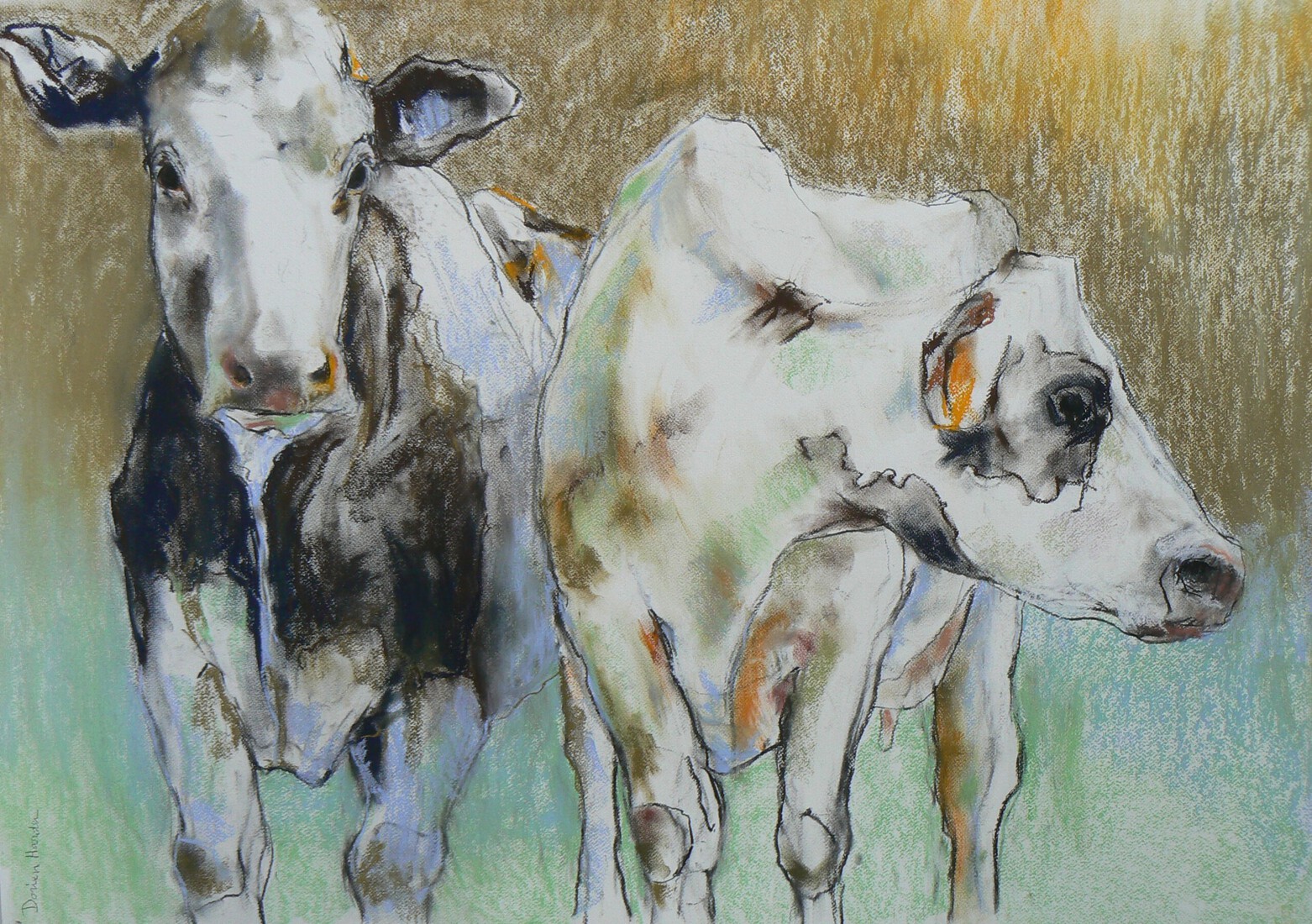 Twee koeien