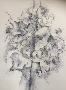 Haar voorkeur is om met kroontjespen en oost-indische inkt te werken. Daarbij worden heel veel kleine kriebeltjes gezet. Dit zijn meestal abstracte werken. Soms met een realistisch uitgangspunt maar vaak ontstaat het werk gewoon al tekenend. Daarbij wordt tevens gebruik gemaakt van houtskool en water.