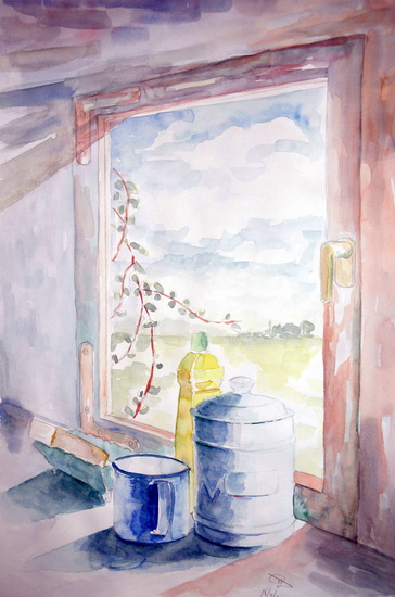 Kitchen window