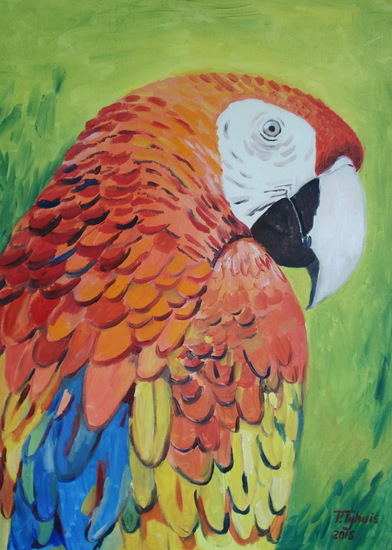 The parrot