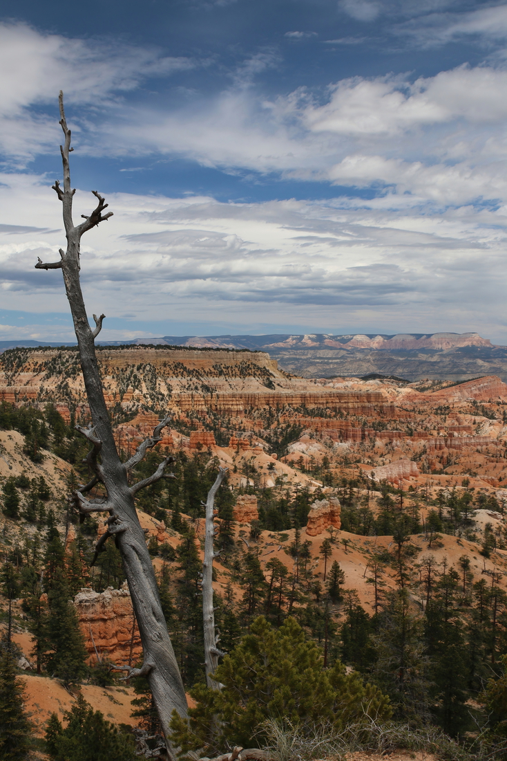 Bryce Canyon