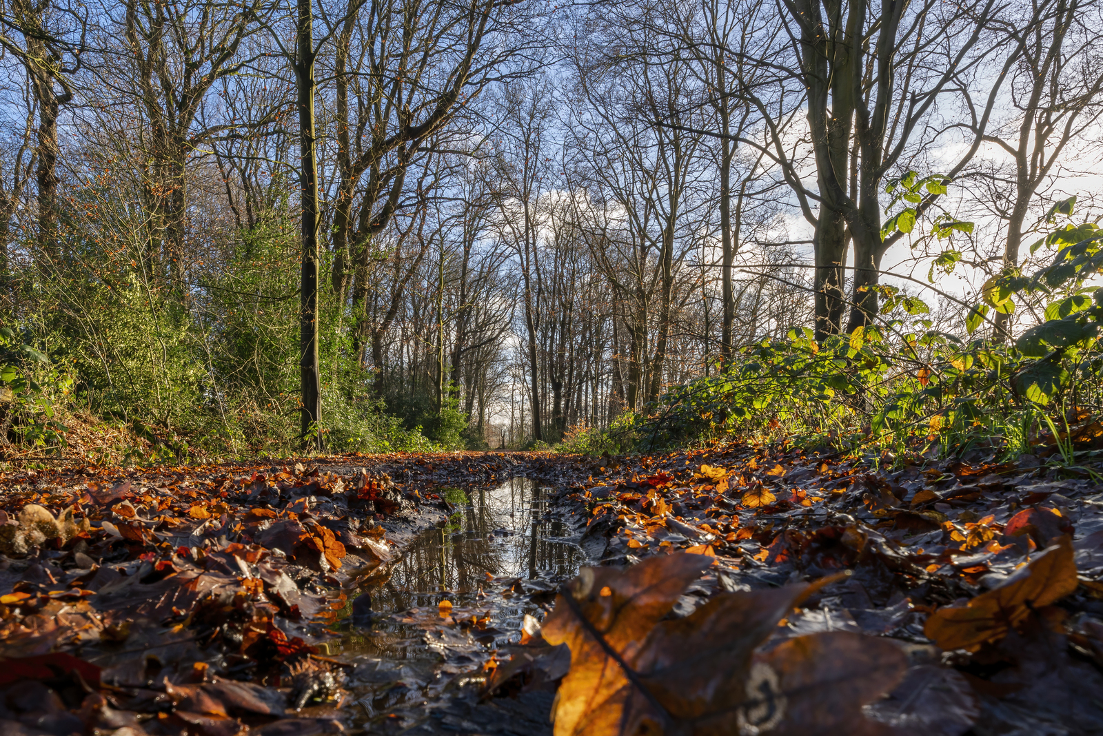 Bospad Boerderij Kamps