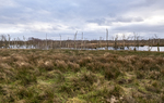 Voor mooie landschappen hoef je niet naar het buitenland. Nederland heeft veel fantastisch mooie natuur om van te genieten.