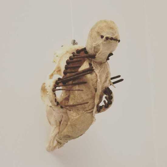 Free Minds, Free Thoughts 