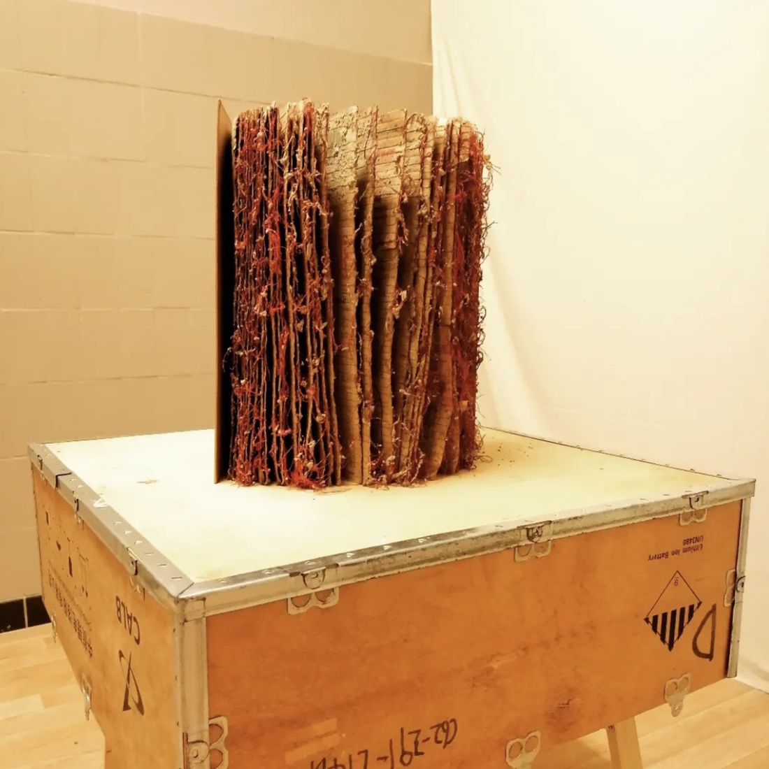 Book of lost knowledge 