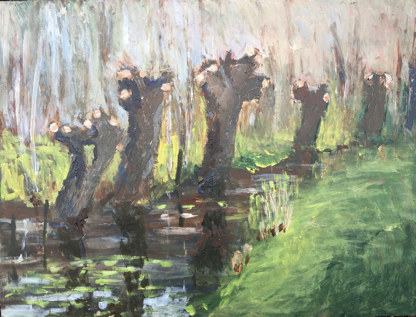 wilgen in het Onland