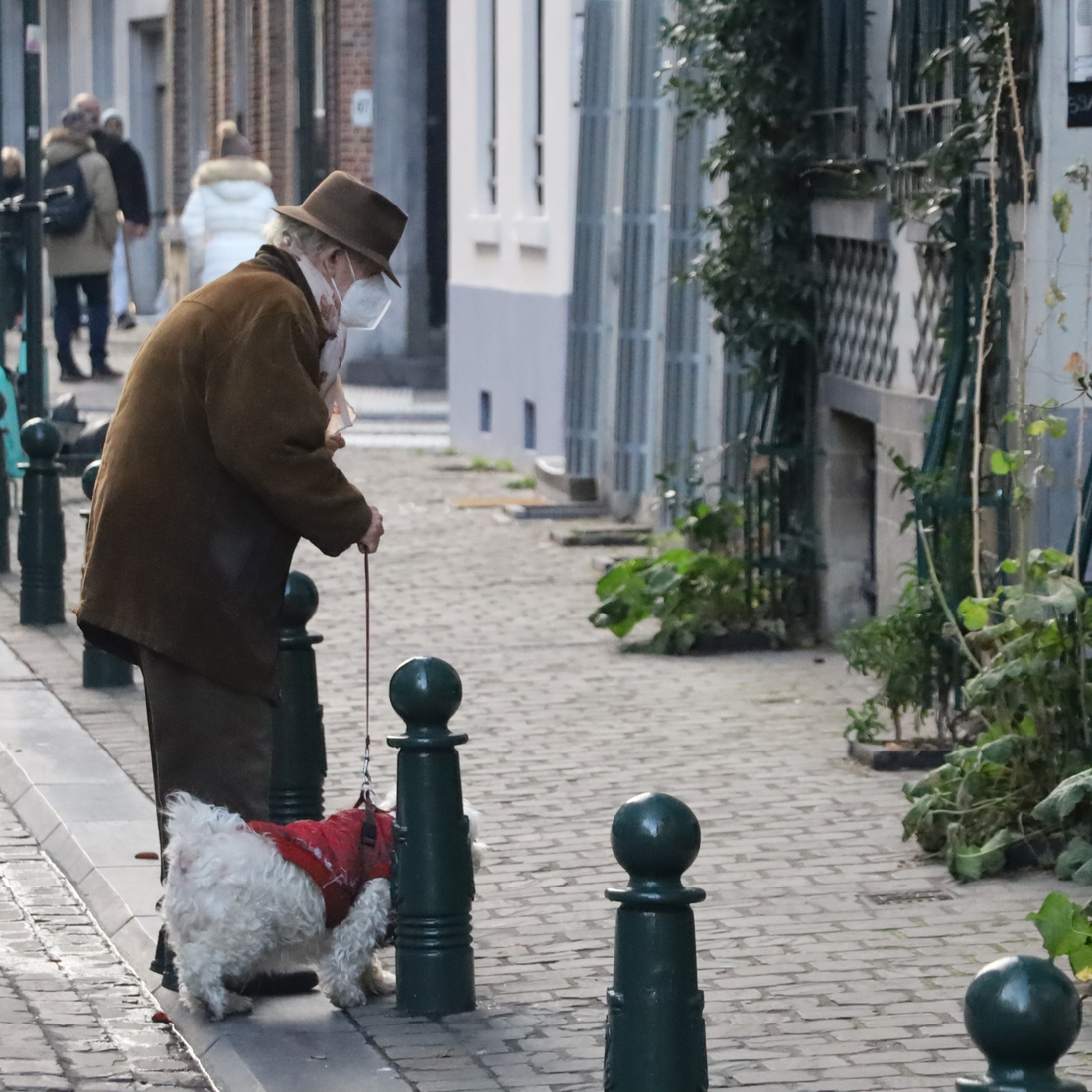 Rondje wandelen met de hond