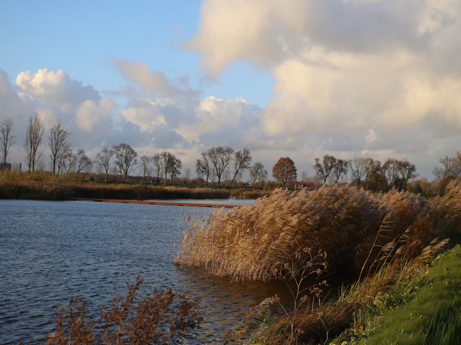 Riet, water, wolken