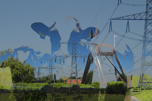 In deze groep overvloeiende foto's van koeien in de Alblasserwaard