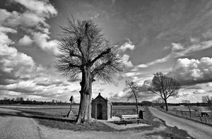 Beelden van het Limburgse landschap in zwart wit in de winter van 2020