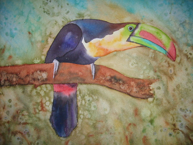 Toucan
