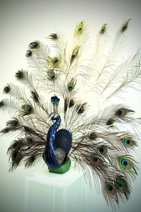 Pauw en tulpen windlicht