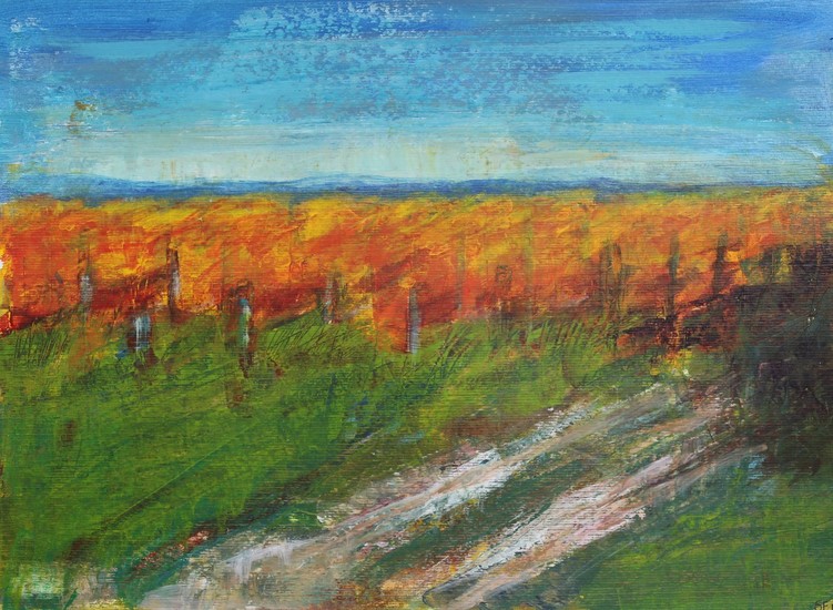 wijngaard in herfst