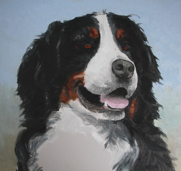 Berner Sennenhond