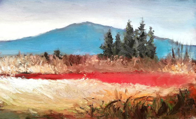 Uitzicht op een berg in Abchazië