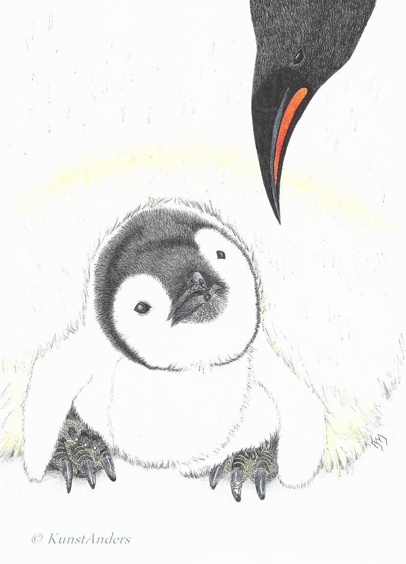 74. Pinguinjong
