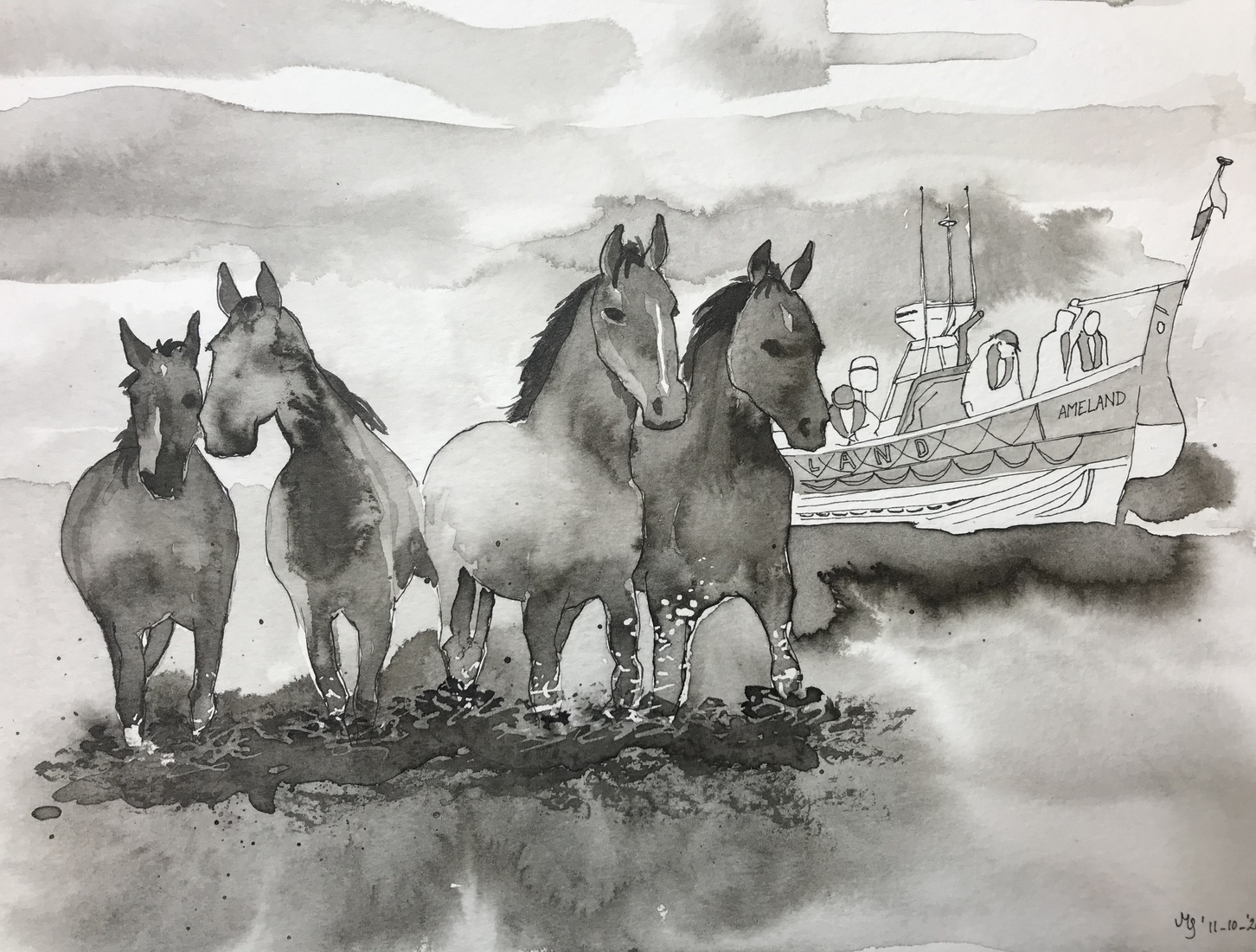 Paarden reddingboot Ameland