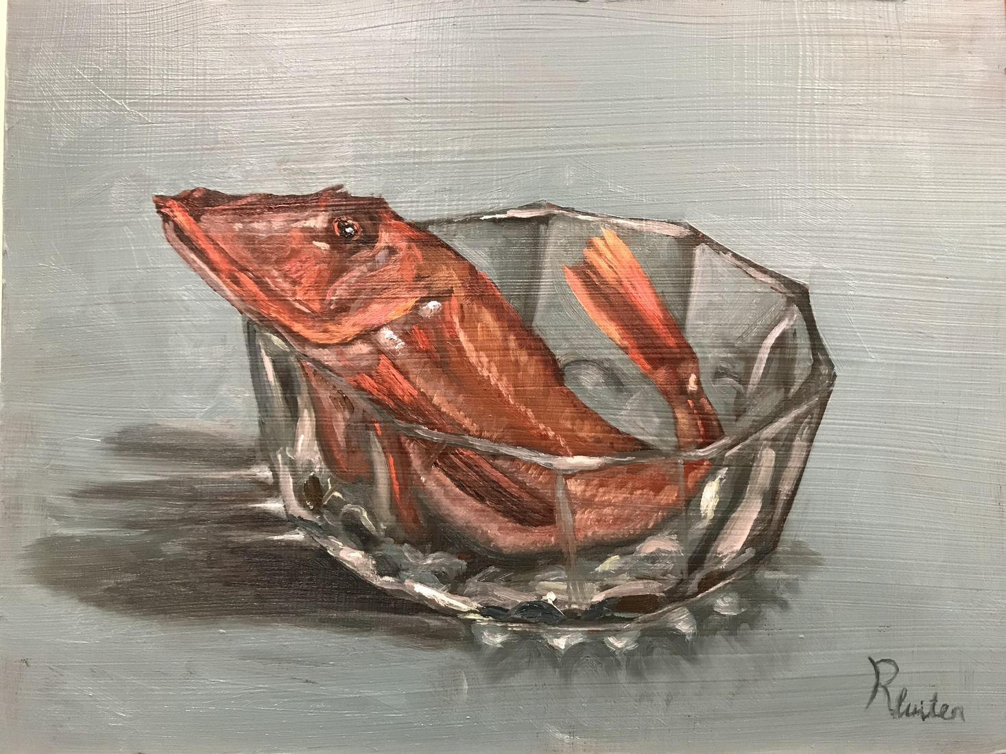 Vis in schaal studie 