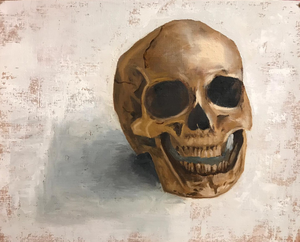 schedels en stillevens 