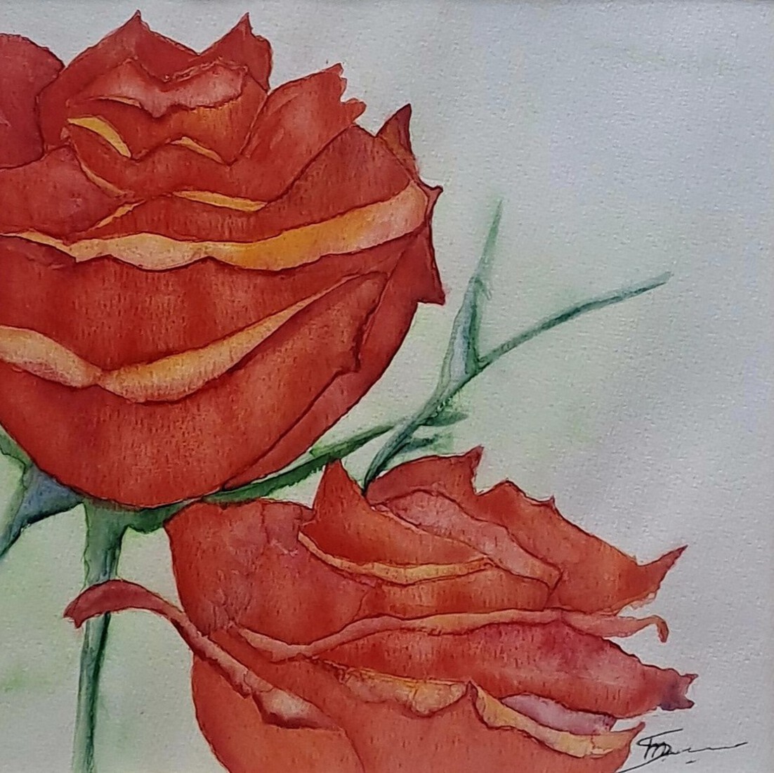 Rode Rozen