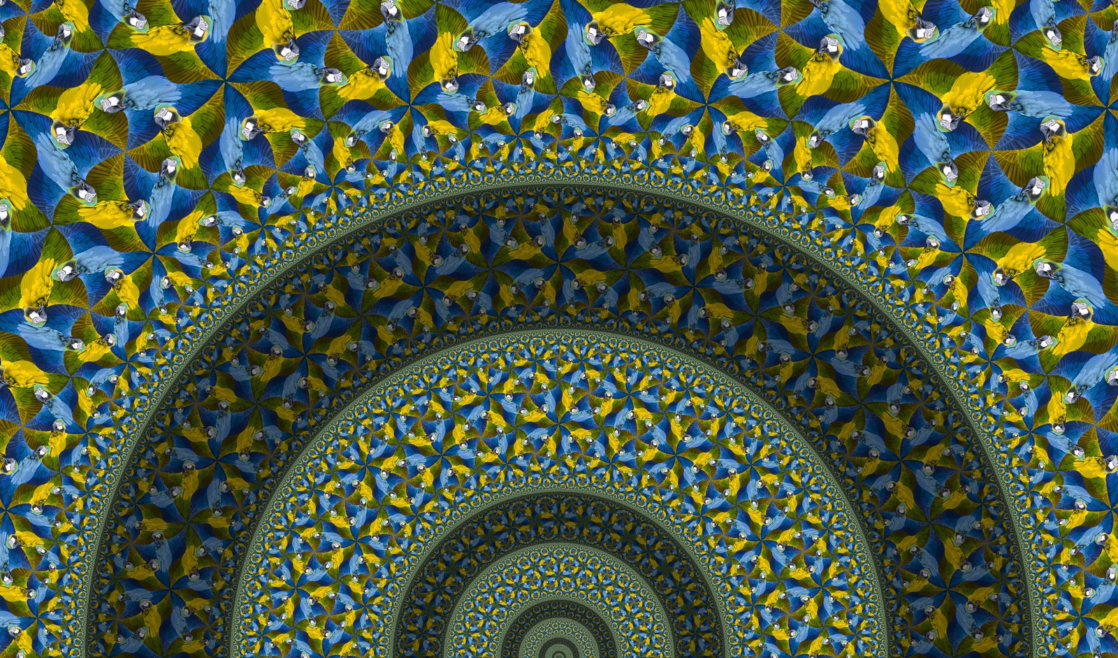 Bogen van Papegaaien