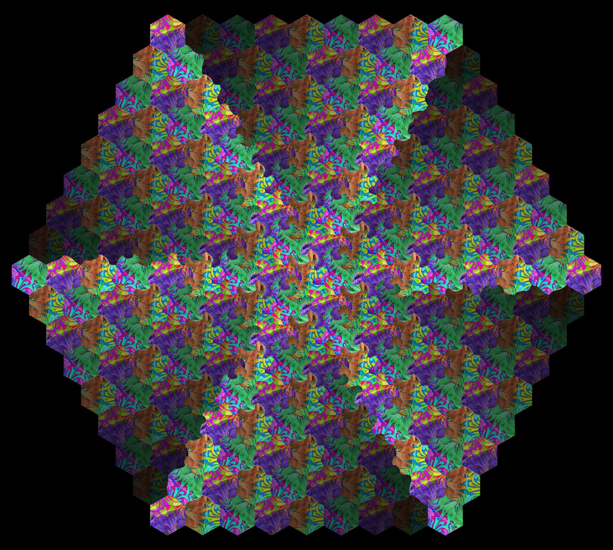 Hagedis Metamorphose III